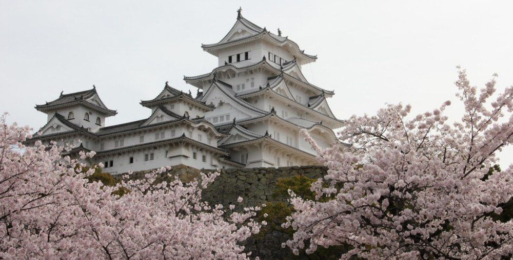 Hanami Animeclick Hanami Animeclick